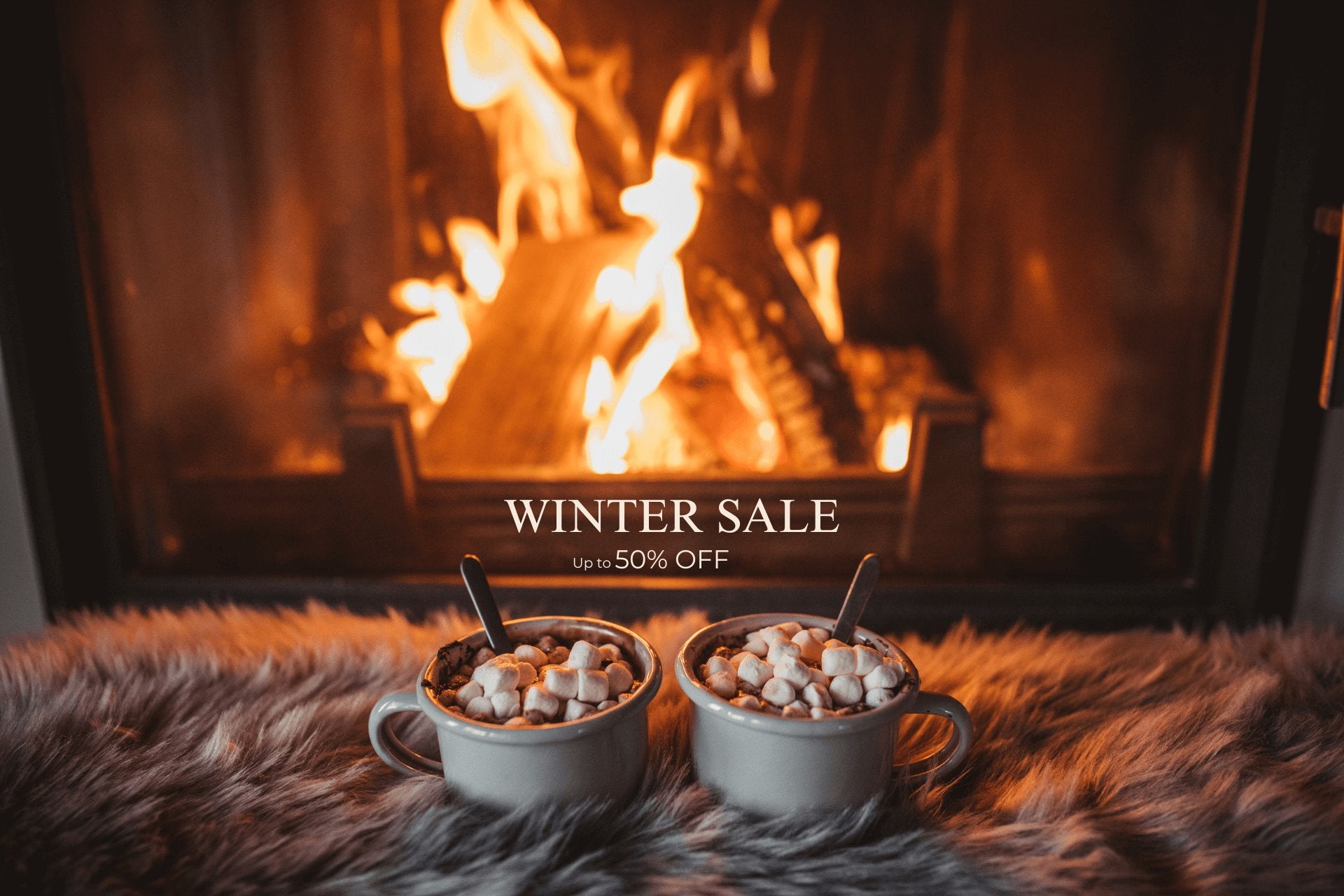 Winter Sale 2025