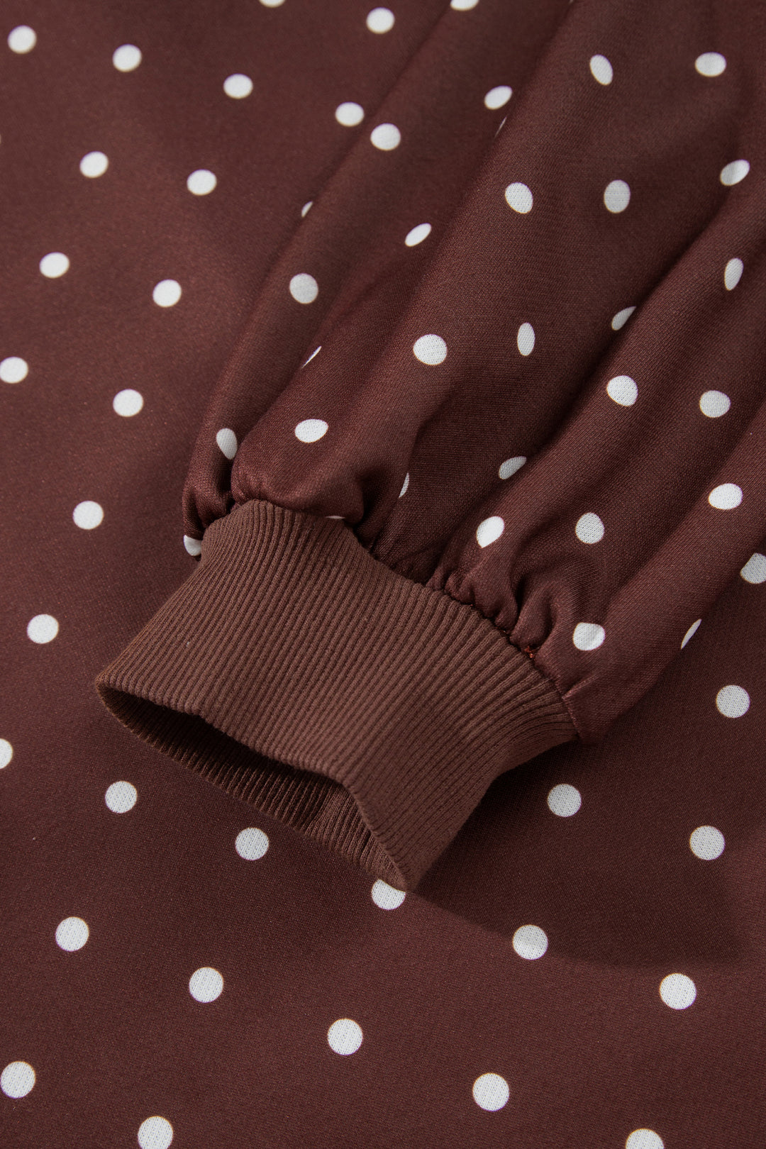Polka Dot Print Metal Button Collar Casual Pullover Sweatshirt