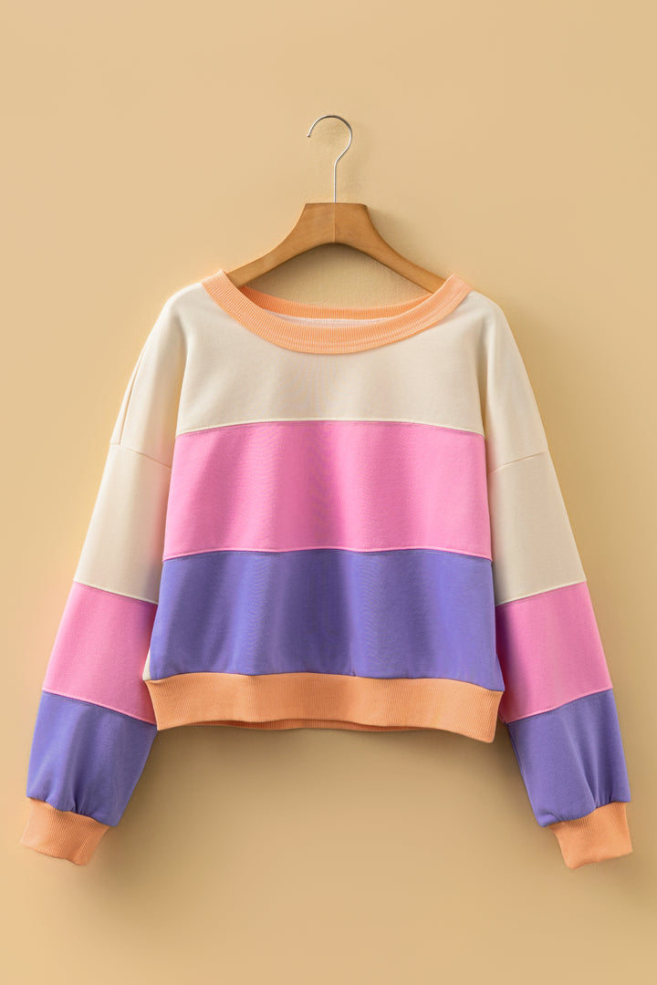 Phalaenopsis Color Block Patchwork Drop Shoulder Cropped Sweatshirt